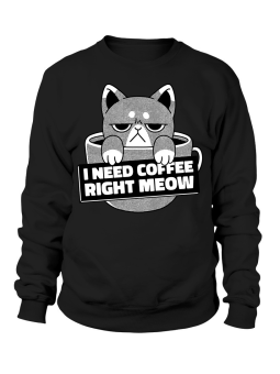 Bluza Męska I Need Coffee Right Meow - Dla Fanów Kawy
