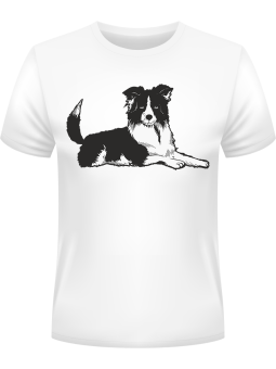 Koszulka Koszulka Męska BorderCollie Pies Biała - Śmieszne T-Shirty z Nadrukami ?
