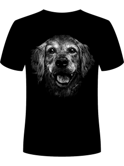 Koszulka Koszulka Męska Golden Retriever Czarna - Śmieszne T-Shirty z Nadrukami ?