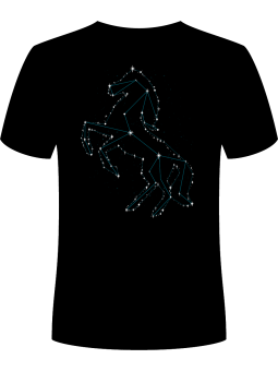 Koszulka Koszulka Męska Koń Konstelacja Czarna - piwo święta mikołaj