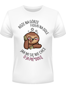 Koszulka Koszulka Męska Jak mi się nie chce Biała - Śmieszne T-Shirty z Nadrukami ?