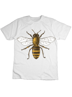 Koszulka Koszulka Dziecięca Rysunek Pszczoła Biała - Śmieszne T-Shirty z Nadrukami ?