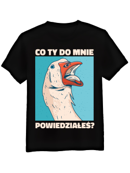 Koszulka Męska Co Ty Do Mnie Powiedziałeś